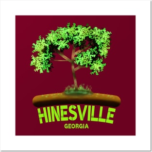 Hinesville Georgia Posters and Art